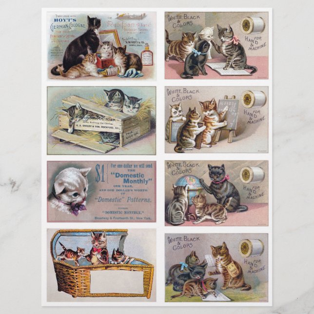 Real (not AI) Helena Maguire Inspired Trade Cards (Front)