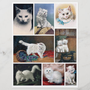 Real (not AI) White Cat Images from Victorian Era