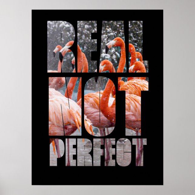 Real Not Perfect Quote Flamingo Tropical Birds Poster (Front)