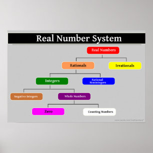 Real Number System Math Poster