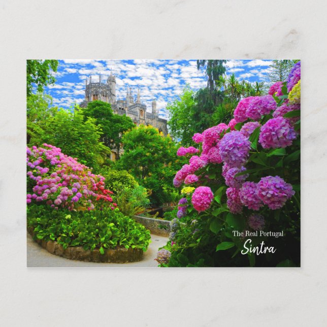 Real Portugal- Sintra Postcard (Front)