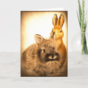Real Rabbit and Fake Rabbit Holiday Card