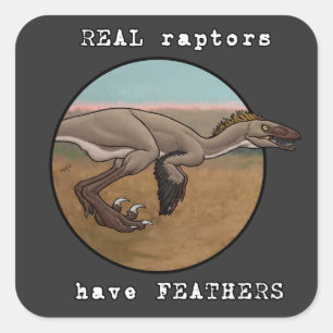 Real Raptors Square Sticker