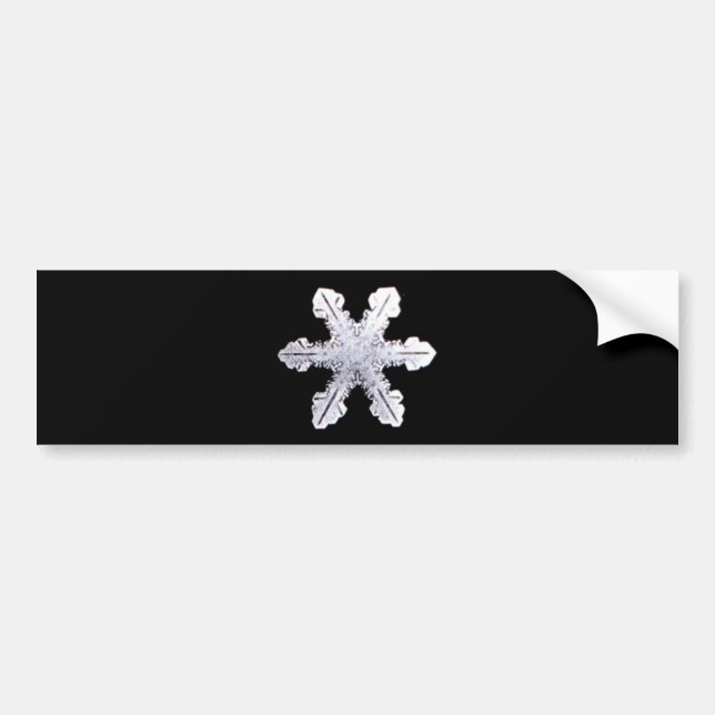Real Snowflake Picture Bumper Sticker (Front)