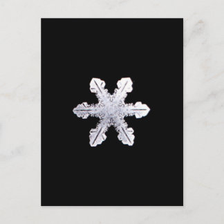Real Snowflake Picture Postcard