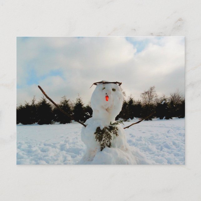 Real snowman photo  postcard (Front)
