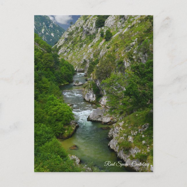 Real Spain- Cantabria Postcard (Front)