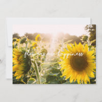 Real Sunflower Photo Field Flowers Are Happiness
