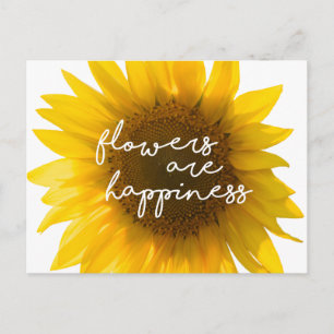 Real Sunflower Photo Field Flowers Are Happiness Postcard