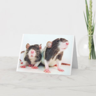 Real Women Own Rats! Card
