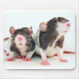 Real Women Own Rats! Mouse Pad