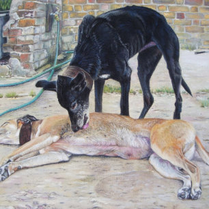 realist painting of two cute grayhound dogs  jigsaw puzzle