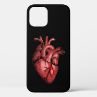 Realistic Anatomical Heart Image