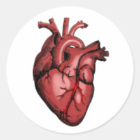 Realistic Anatomical Heart Image