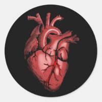 Realistic Anatomical Heart Image