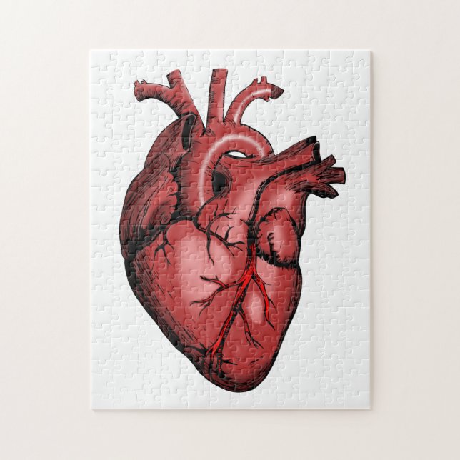 Realistic Anatomical Heart Image Jigsaw Puzzle (Vertical)