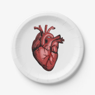 Realistic Anatomical Heart Image Paper Plate