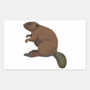 Realistic Beaver Rectangular Sticker