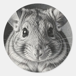 Realistic Chinchilla Portrait Sketch Classic Round Sticker