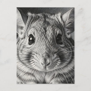 Realistic Chinchilla Portrait Sketch Postcard