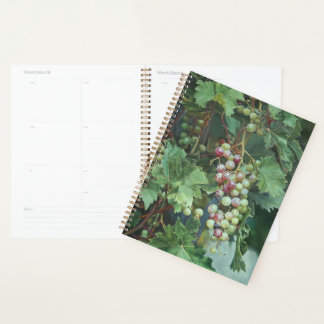 Realistic Grape Vine with Leaves – Fine Art Planner