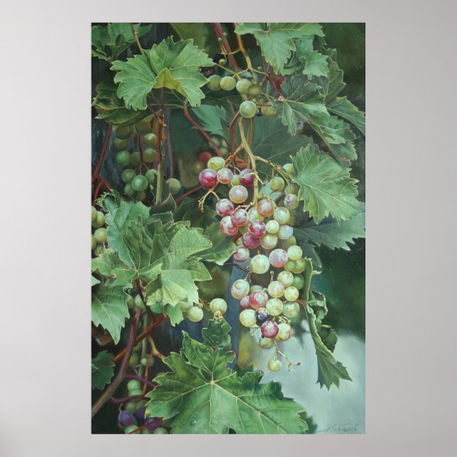 Realistic Grape Vine with Leaves – Fine Art Poster (Front)