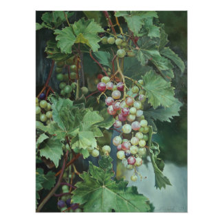 Realistic Grape Vine with Leaves – Fine Art Poster
