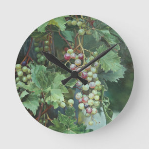 Realistic Grape Vine with Leaves – Fine Art Round Clock