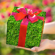 Realistic Grass Photo Texture Fun Bright Green