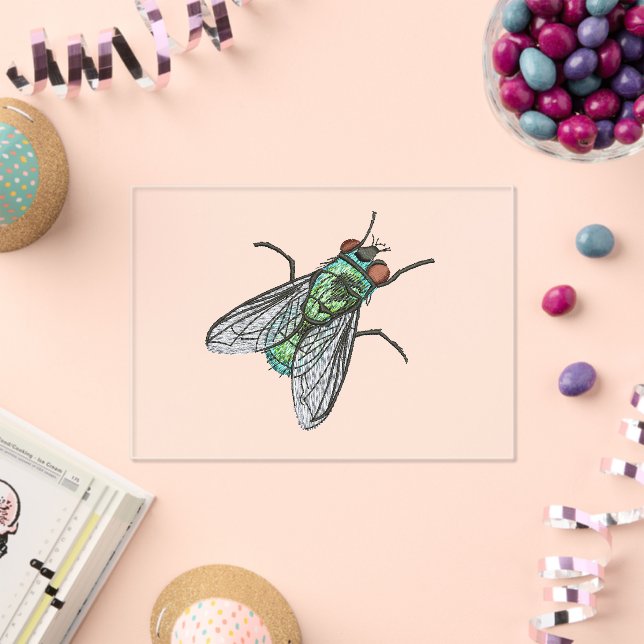 Realistic Green Bottle house Fly    Acrylic Invitations (Insitu (Celebration))