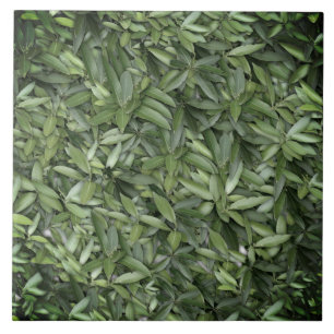 Realistic green leaves ceramic tile