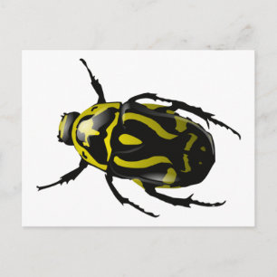 Realistic Hornless Yellow and Black Beetle Insect Postcard