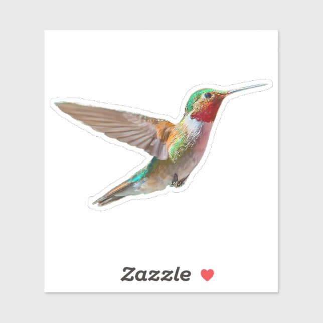 Realistic Hummingbird (Sheet)