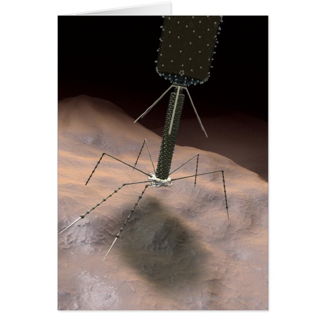 Realistic Illustration of bacteriophage (Front)