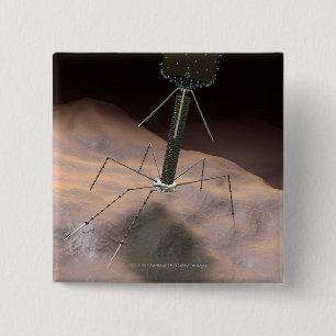 Realistic Illustration of bacteriophage 15 Cm Square Badge
