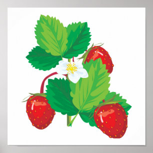 realistic juicy strawberries poster