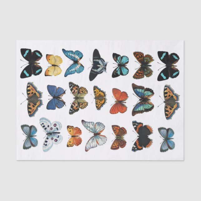 Realistic Looking Butterfly Collection Fussy Cuts Tissue Paper (Front)