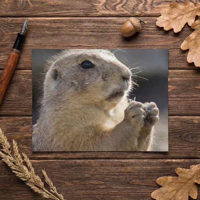 Realistic Natural Profile Groundhog Paws Up Photo Postcard (Creator Uploaded)