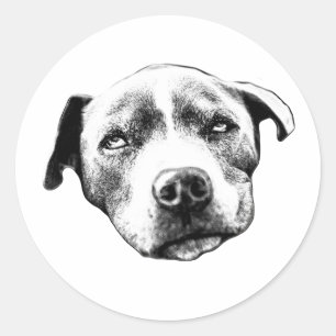 Realistic Pit Bull Portrait Sticker