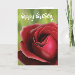 Realistic Red Rose Birthday Card