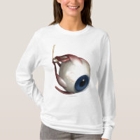 Realistic rendering of the muscles of the eye