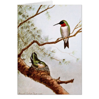 Realistic Ruby-Throated Hummingbird Art