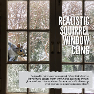 Realistic Squirrel Window Cling