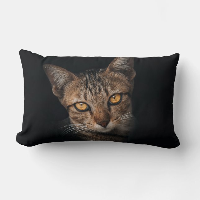 Realistic Tabby Cat Portrait Black Throw Pillow |  (Front)