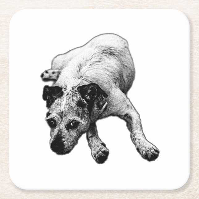 Realistic Terrier Mix Laying Coaster (Front)