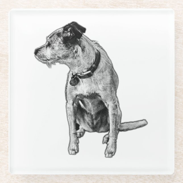 Realistic Terrier Mix Sitting Coaster (Front)