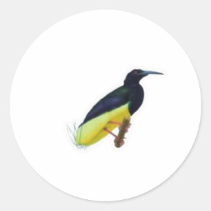 Realistic Twelve-Wired Bird of Paradise Sticker, V Classic Round Sticker