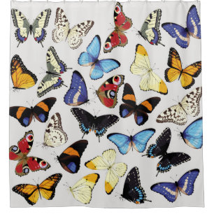 Realistic vintage butterflies collection. shower curtain