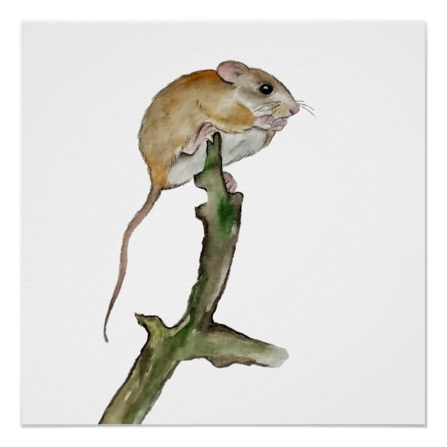 Realistic watercolor mouse in a tree poster (Front)