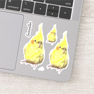 Realistic Yellow Cockatiel Painting Customised